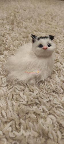 Кот из меха со звуком 2 во Кирове